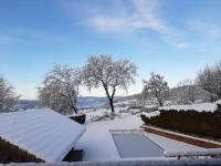 a snow covered garden with trees in the background at Chalet avec vue panoramique sur les Montagnes du Mole et la chaîne des Aravis piscine chauffée à 5 min des pistes de la station des Brasses in Viuz-en-Sallaz