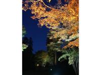 Hotel Tetora Yunokawaonsen - Vacation STAY 30586vの見取り図または間取り図