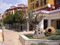 a woman walking down a street next to a tree at STUDIO DELUXE IN MARINA CAPE 4 stars complex 33 7 in Aheloy