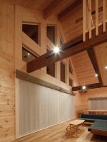 lamp yamanaka-Private Villa for Up to 10 Guests, Free BBQ, Baby-Friendly, 5-Min Drive from Lake Yamanaka, 20-Min Drive from Lake Kawaguchiにあるビリヤード台