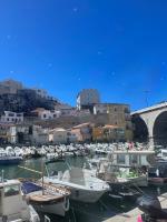 a bunch of boats are docked in a harbor at Appartement + terrasse à 5min à pied de la mer et du Vallon des auffes in Marseille