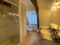 a bathroom with a shower and a toilet and a sink at Appartement de charme rue du Château in Auray