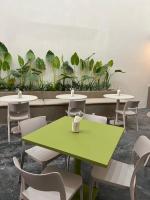 グアダラハラにあるAura Hotel B&Bの植物のある部屋(緑のテーブルと椅子付)