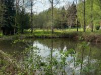 a body of water in a park with trees at Holiday home in Saint Quirin with garden in Saint-Quirin