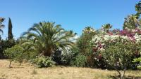 Zahrada ubytování Maison Villa Sousse Chott-Meriem, jardin arboré, 400 m de la plage