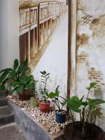 Půdorys ubytování Chino Town Gallery Alley - SHA Plus