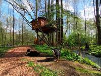 Zahrada ubytování Treehouse v Brdech