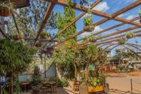 un invernadero con plantas, mesas y sillas en Vinetea Hotel, en Kampala