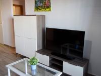 Televízia a/alebo spoločenská miestnosť v ubytovaní Apartamentos Mirador del Castillo 3000