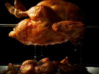 田原市にある伊良湖オーシャンリゾートの2羽の鶏がテーブルの上に座っている