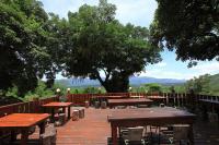 a wooden deck with tables and chairs and a tree at JS Hotspring in Ruisui