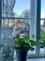 Gallery image of Guddals Tunet in Rosendal