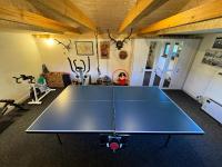 Stolní tenis v ubytování Apartmán Němčice u Boskovic nebo okolí