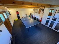 Stolní tenis v ubytování Apartmán Němčice u Boskovic nebo okolí