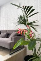 A seating area at Aonia Luxurious Modern Boutique Apartments