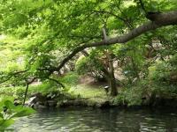 ホテルの近くで見られる自然の景観