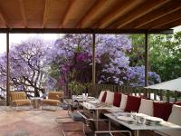 a patio with tables and chairs and purple trees at Hotel Dama in Mexico City