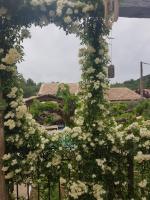 Ogród w obiekcie Magnifique villa de charme avec piscine