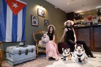 Domácí mazlíčci ubytovaní s hosty v ubytování The Quba Boutique Hotel Pattaya