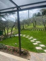 A garden outside Mikipong
