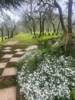 A garden outside Mikipong