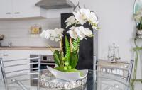 a vase filled with white flowers on a table at Cozy Apartment In St Thibault Des Vignes With Kitchenette in Saint-Thibault-des-Vignes