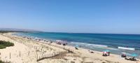 Táj Show holiday homes közelében