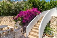 Zahrada ubytování Villa Condor by Abahana Villas