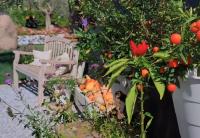 Vonkajšia záhrada v ubytovaní CASA AUTUNNO