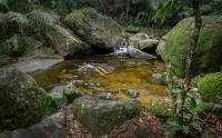 a stream of water with rocks in a forest at Angra Boutique Hotel in Angra dos Reis
