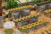 Jídlo v hotelu nebo okolí