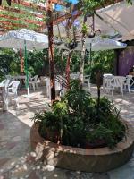 Un patio con una fuente con plantas y sombrillas. en Hostal Mi Campaña, en Denia