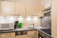 A kitchen or kitchenette at Appartementanlage Thermenblick SKI IN & SKI OUT