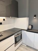 Kuchyň nebo kuchyňský kout v ubytování Premium Suites