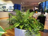 Fotografie z fotogalerie ubytování MG Restaurace/Luxury Apartments v destinaci Mladá Boleslav