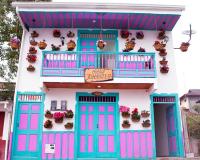 Una casa con puertas azules y rosas y plantas en macetas. en Hostal Johnnier, en Salento