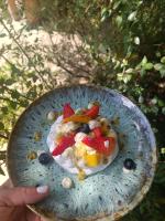 a plate with a dessert with fruit on it at Hôtel Les Suites Du Maquis in Bonifacio