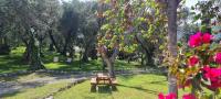 Zahrada ubytování Hotel Yannis Corfu