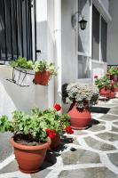 Vonkajšia záhrada v ubytovaní Rent House Daphne