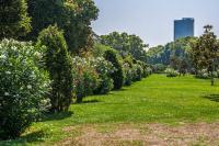 Zahrada ubytování Habitat Apartments Alibei