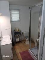 La salle de bains est pourvue d&#39;une douche, de toilettes et d&#39;un lavabo. dans l&#39;établissement La maison d&#39;Amelie, à Montesquieu-Volvestre
