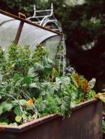 Zahrada ubytování Heimspitze - Alpenhotel & Wirtshaus