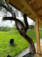 Biutiful Bungalowにある庭