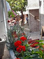 Garður fyrir utan Guest House Ani