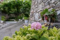 Zahrada ubytování Country House Hortensia