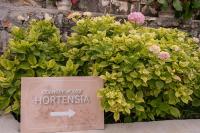 Půdorys ubytování Country House Hortensia