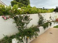 Vonkajšia záhrada v ubytovaní Villa Dei Fiori Zambrone