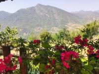 萨帕Khen Mong Nature Hotel的前景山花美景