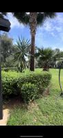 a palm tree in a park with green bushes at Charming Villa, Breathtaking Garden View in Casablanca