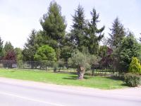 Vonkajšia záhrada v ubytovaní Hotel San Camilo